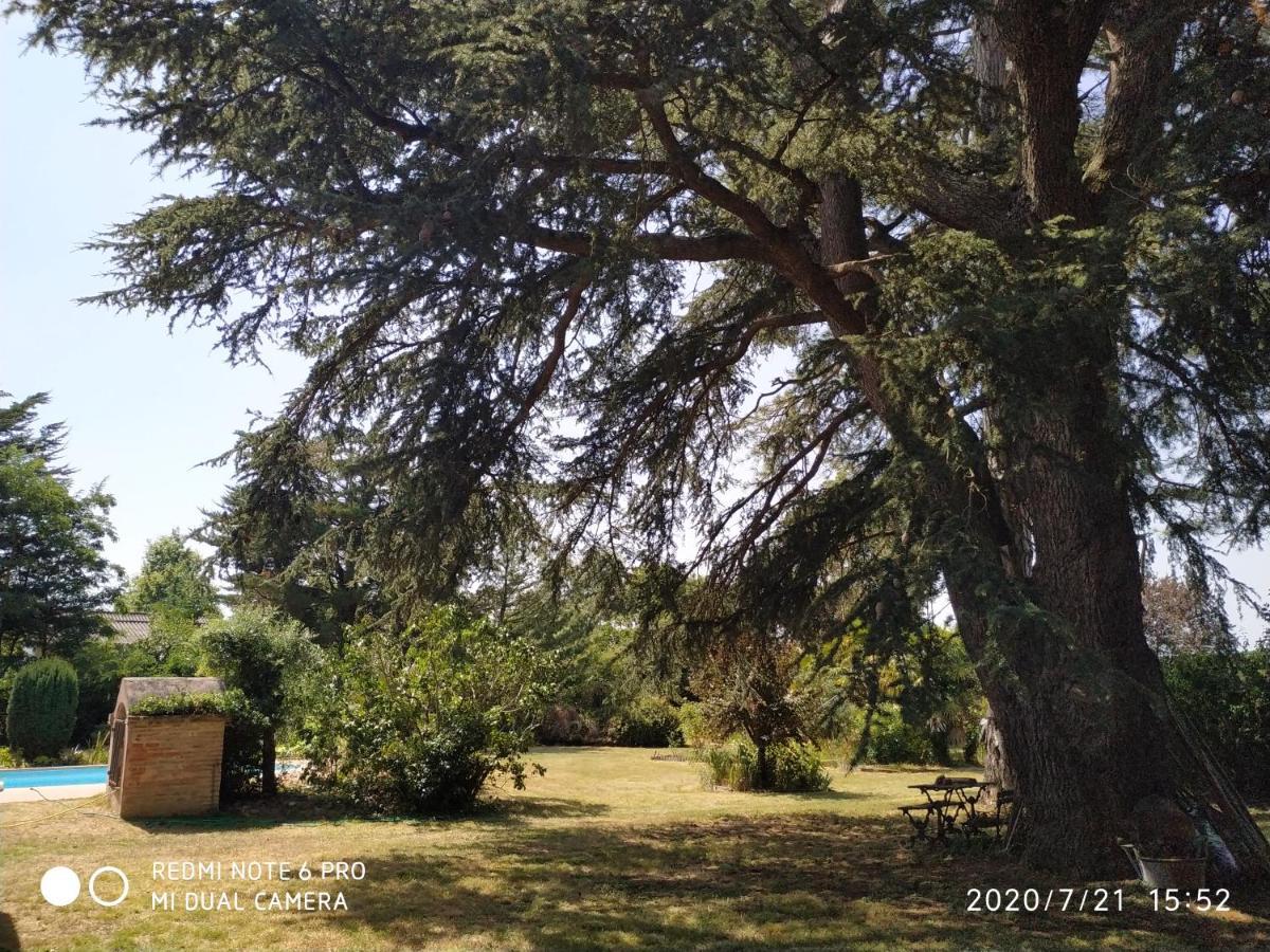 La Maison De L'Oenologue Poucharramet Bagian luar foto